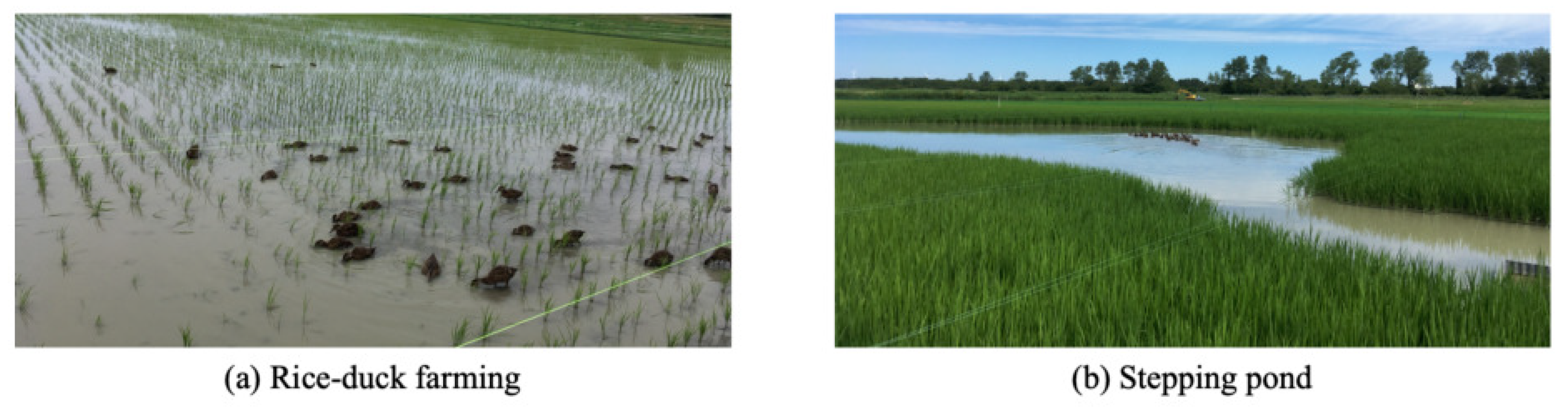 Robotics 10 00063 g002