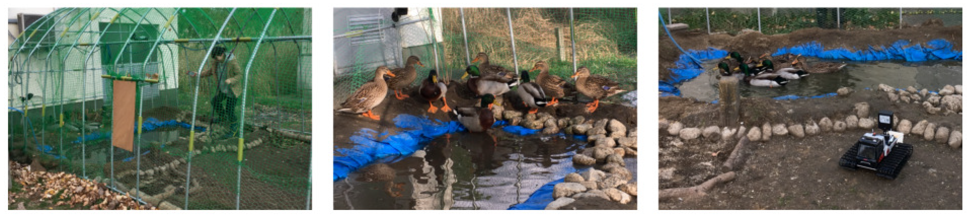 Robotics 10 00063 g006