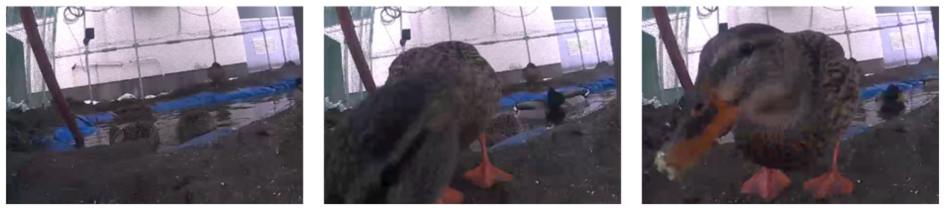 Robotics 10 00063 g009