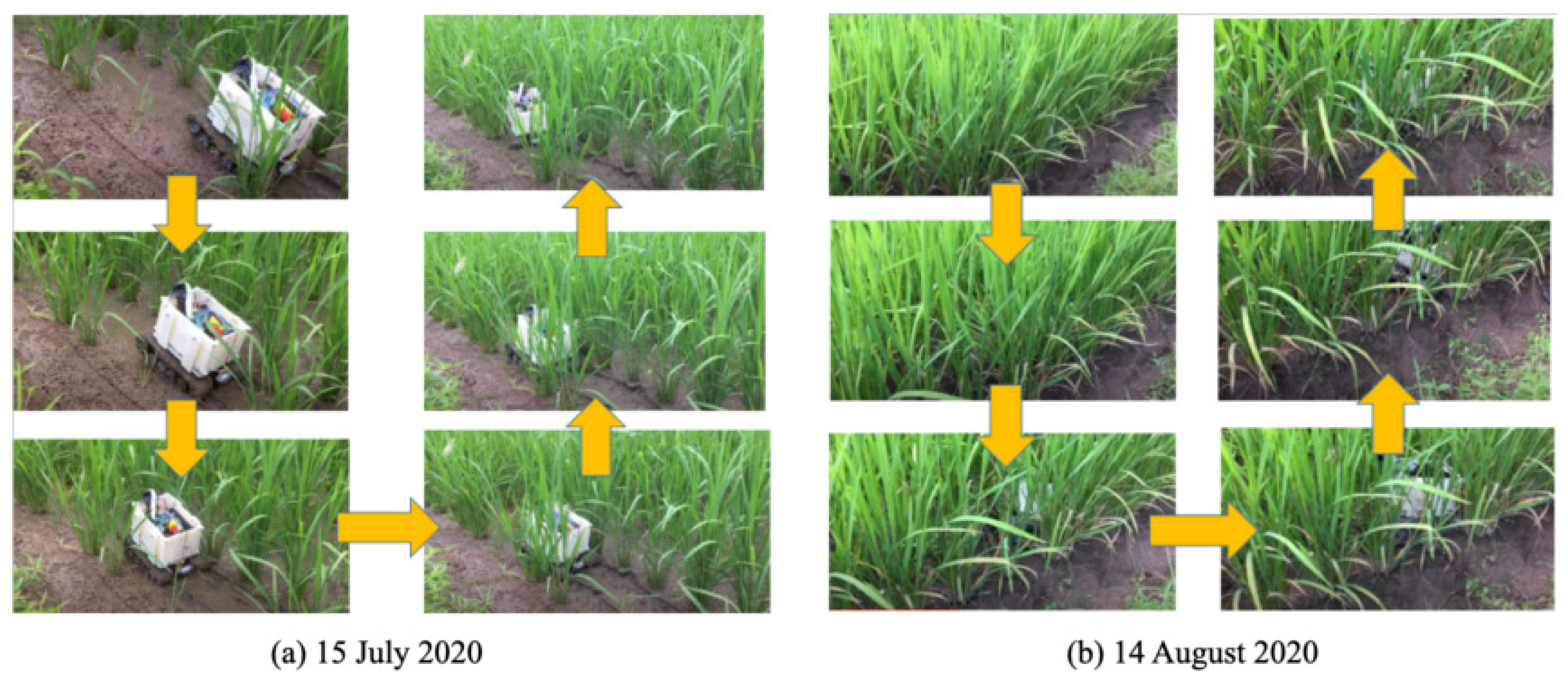 Robotics 10 00063 g014