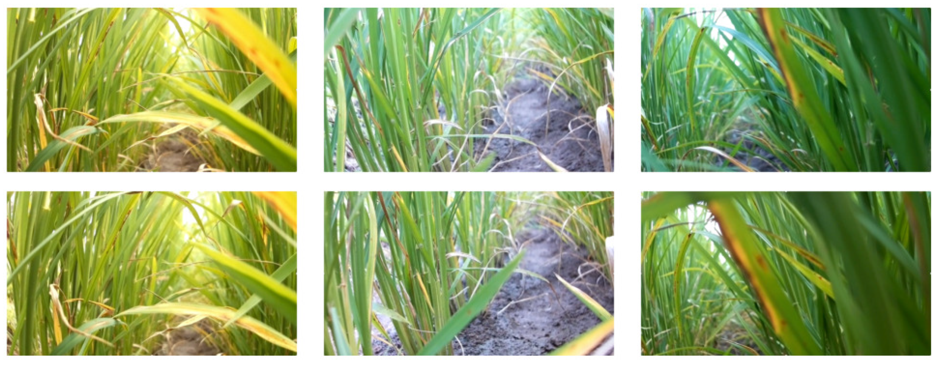 Robotics 10 00063 g015