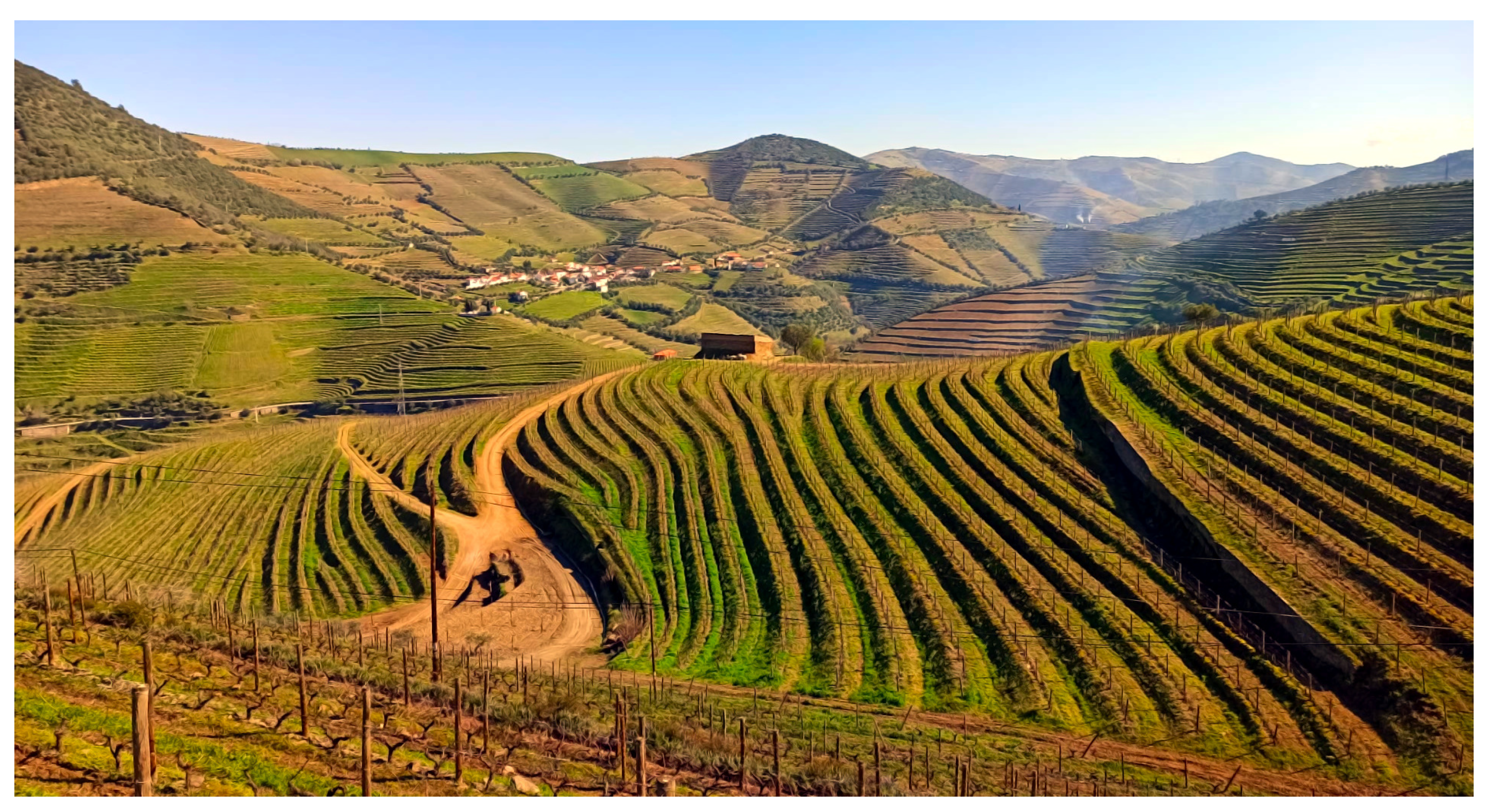 Robotics Free Full Text A Case Study On Improving The Software Dependability Of A Ros Path Planner For Steep Slope Vineyards Html
