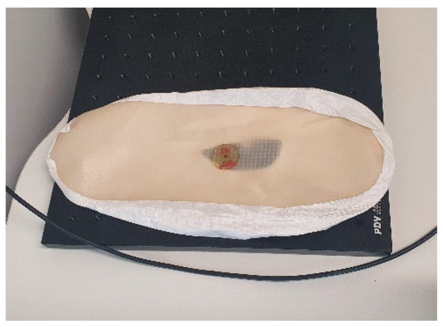 Robotics 10 00119 g022 550