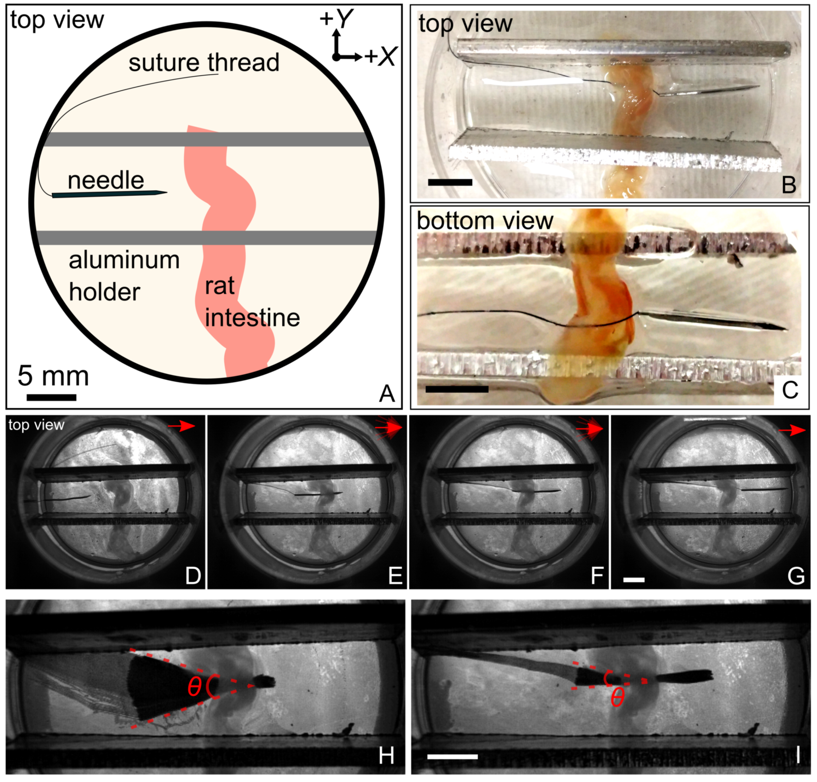 Robotics 10 00129 g005 550