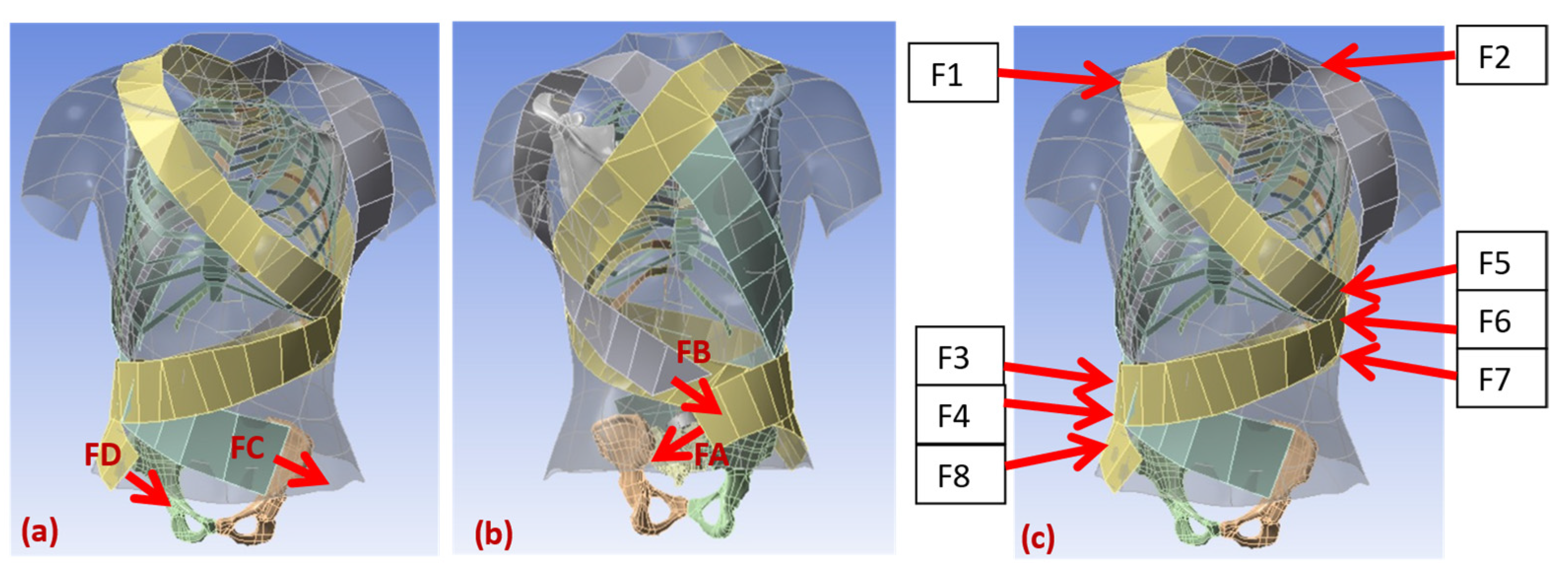 Robotics 11 00037 g008