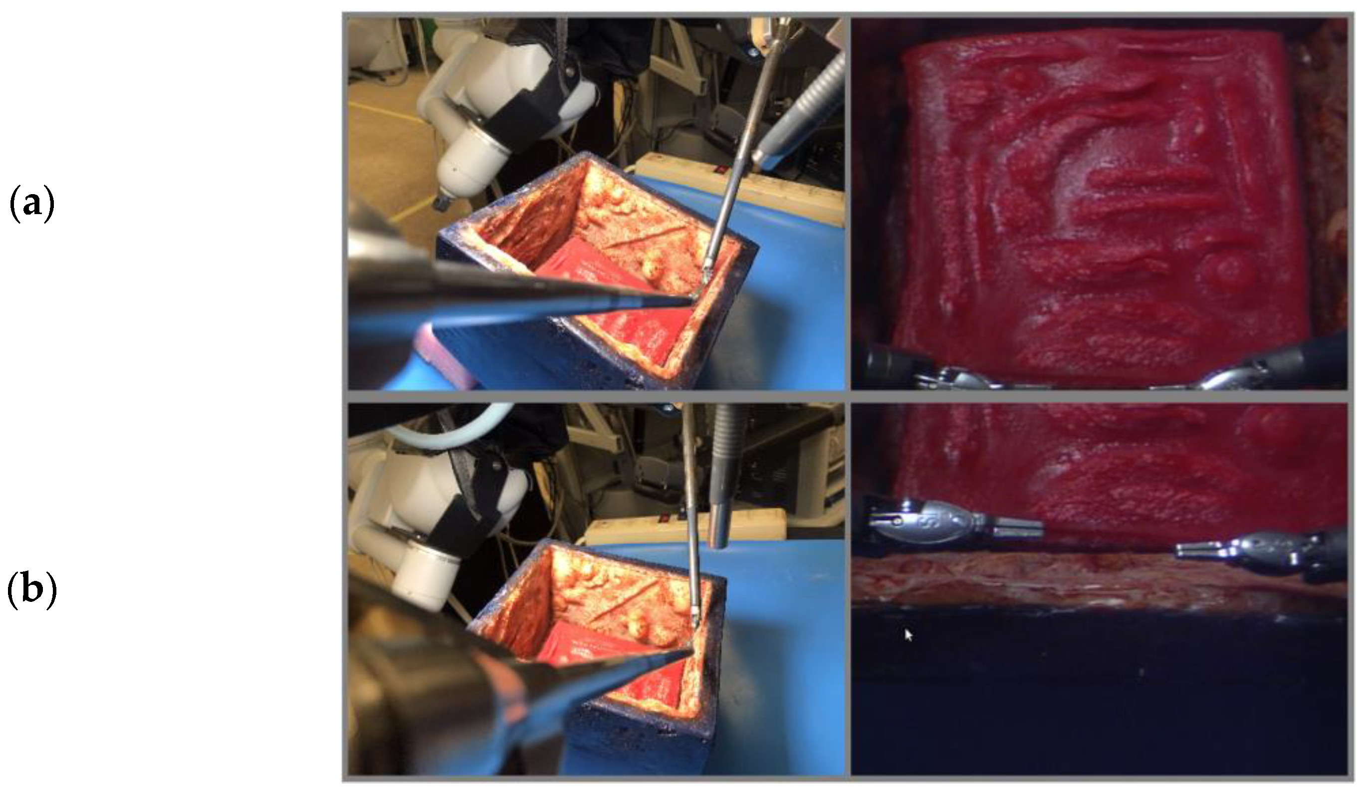 Robotics 11 00040 g008 550