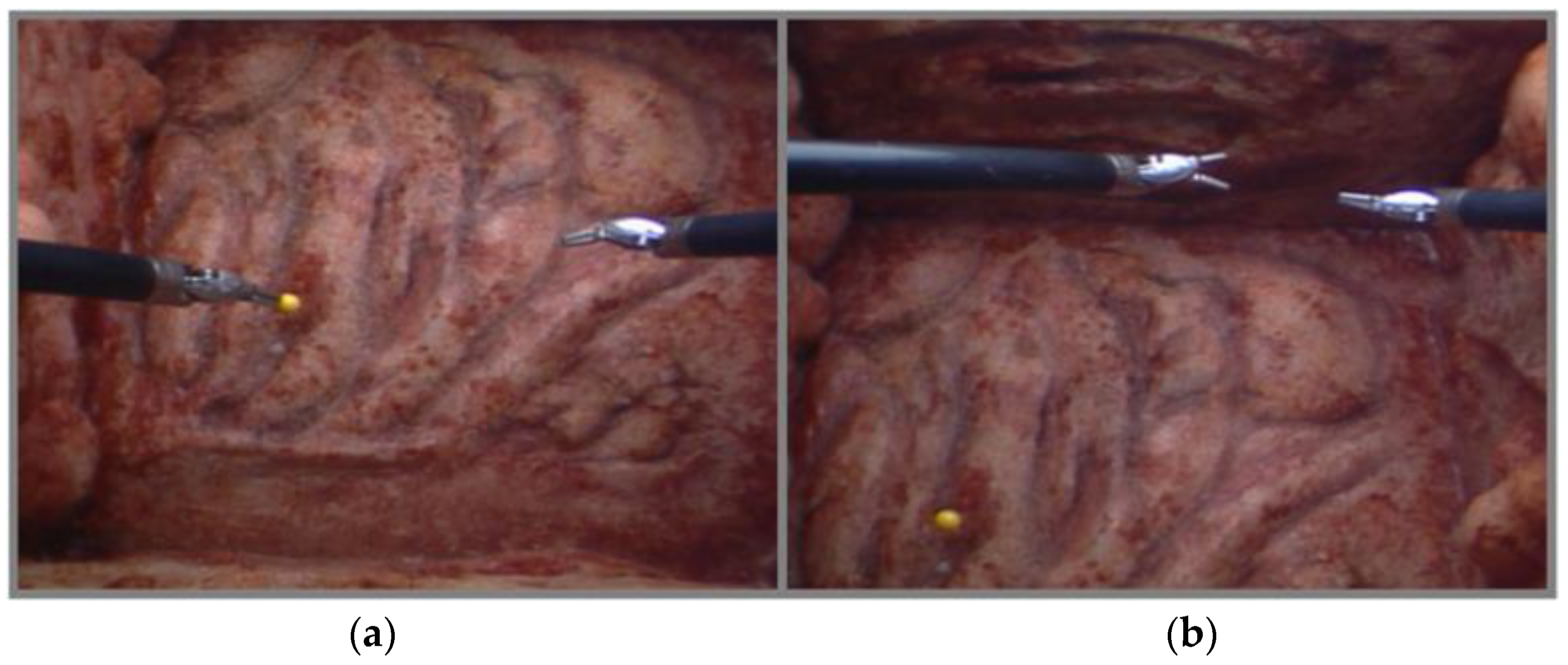 Robotics 11 00040 g010 550