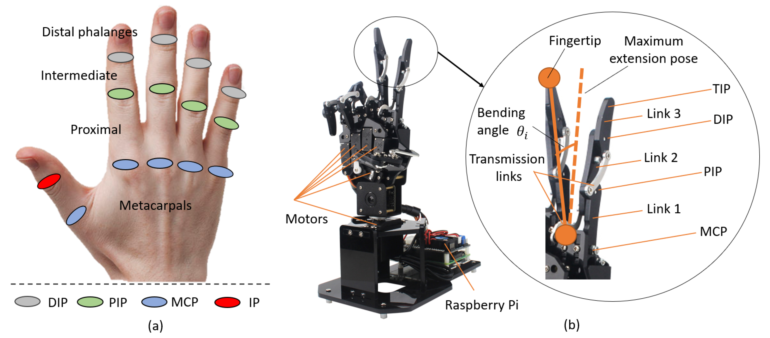Robotics | Free Full-Text | Teleoperation Control of an Underactuated Bionic Hand: Comparison between Wearable and Vision-Tracking-Based