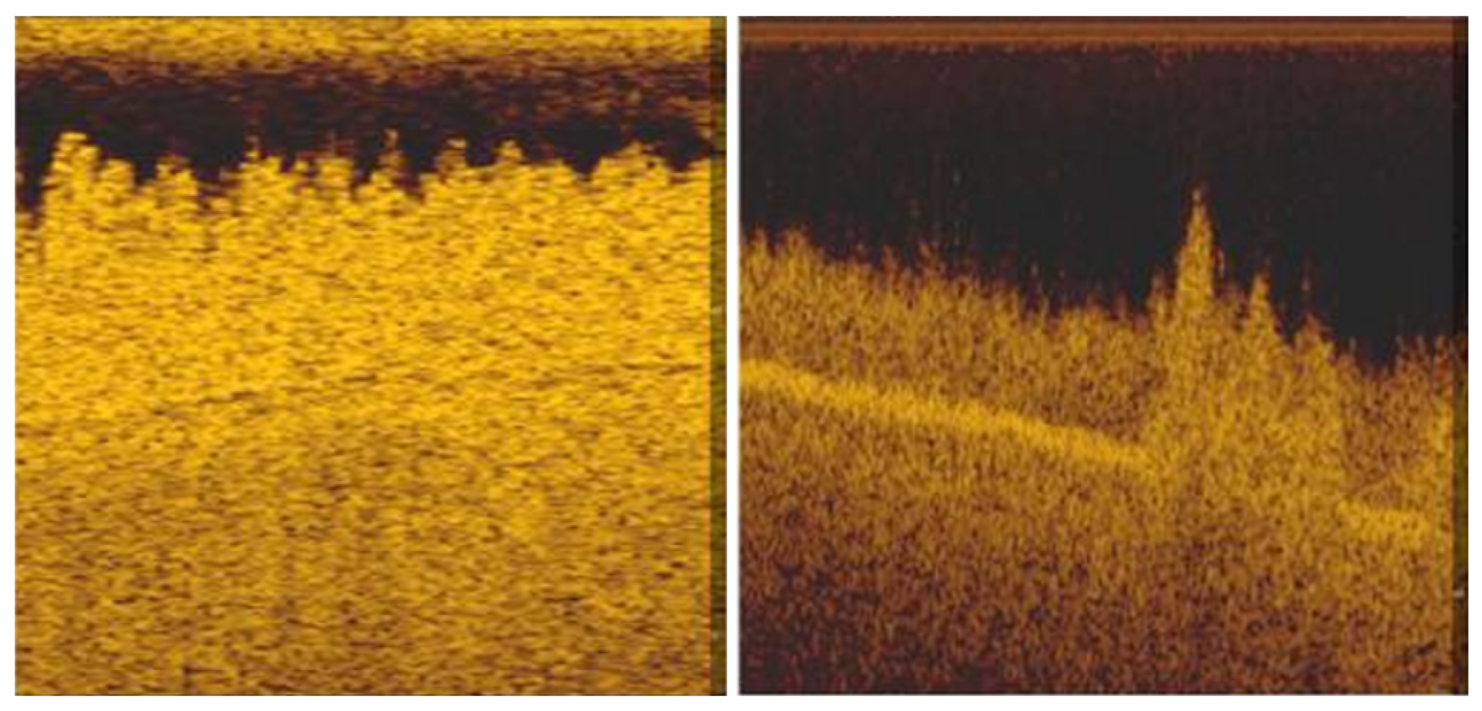 Robotics 11 00068 g011 550