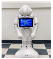 Robotics 11 00096 i014