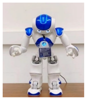 Robotics 11 00096 i019