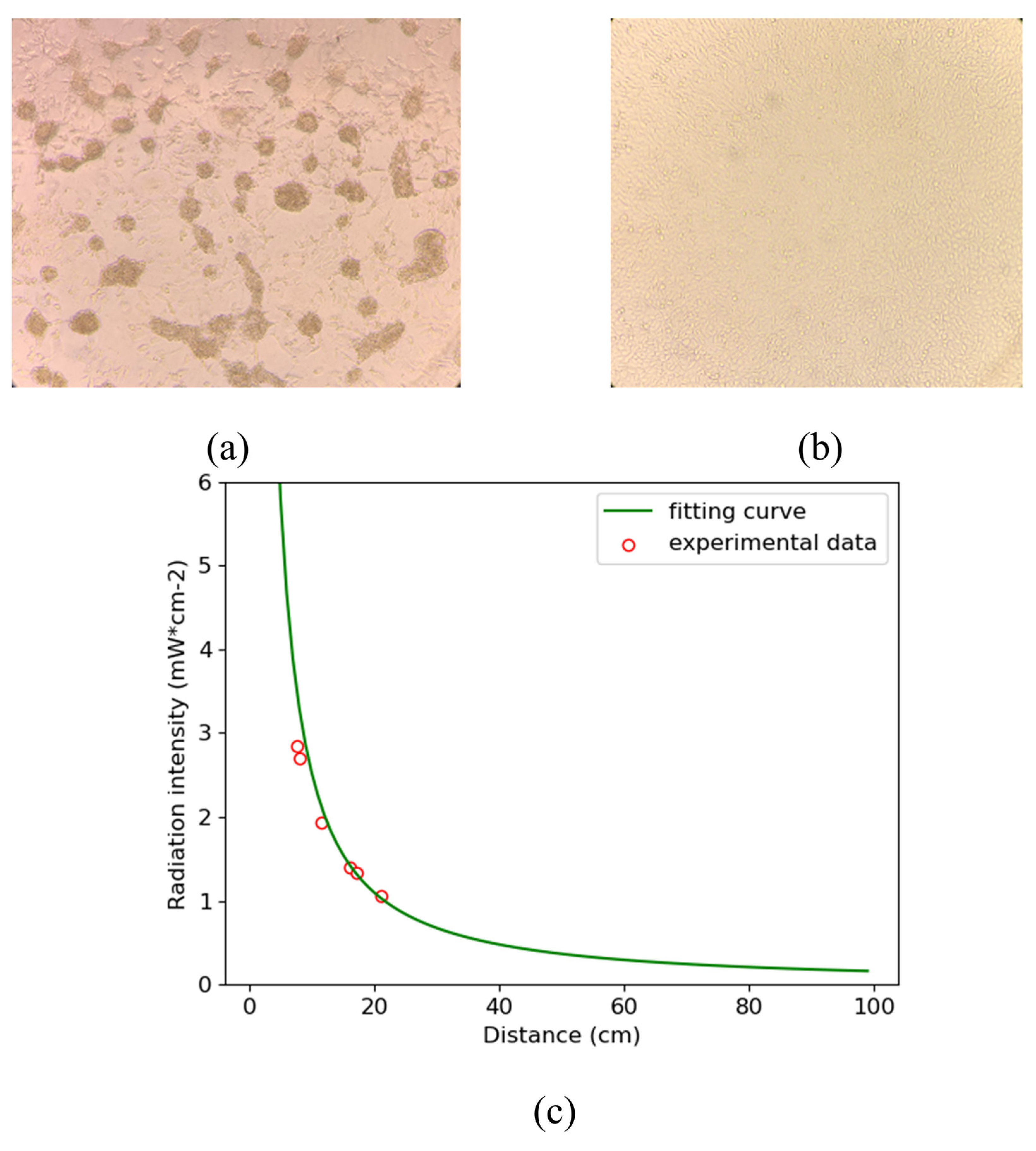 Robotics 11 00117 g001