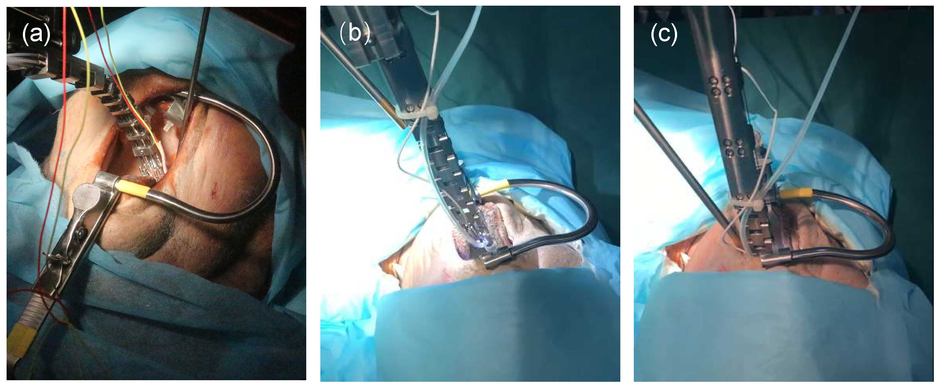 Robotics 11 00135 g003