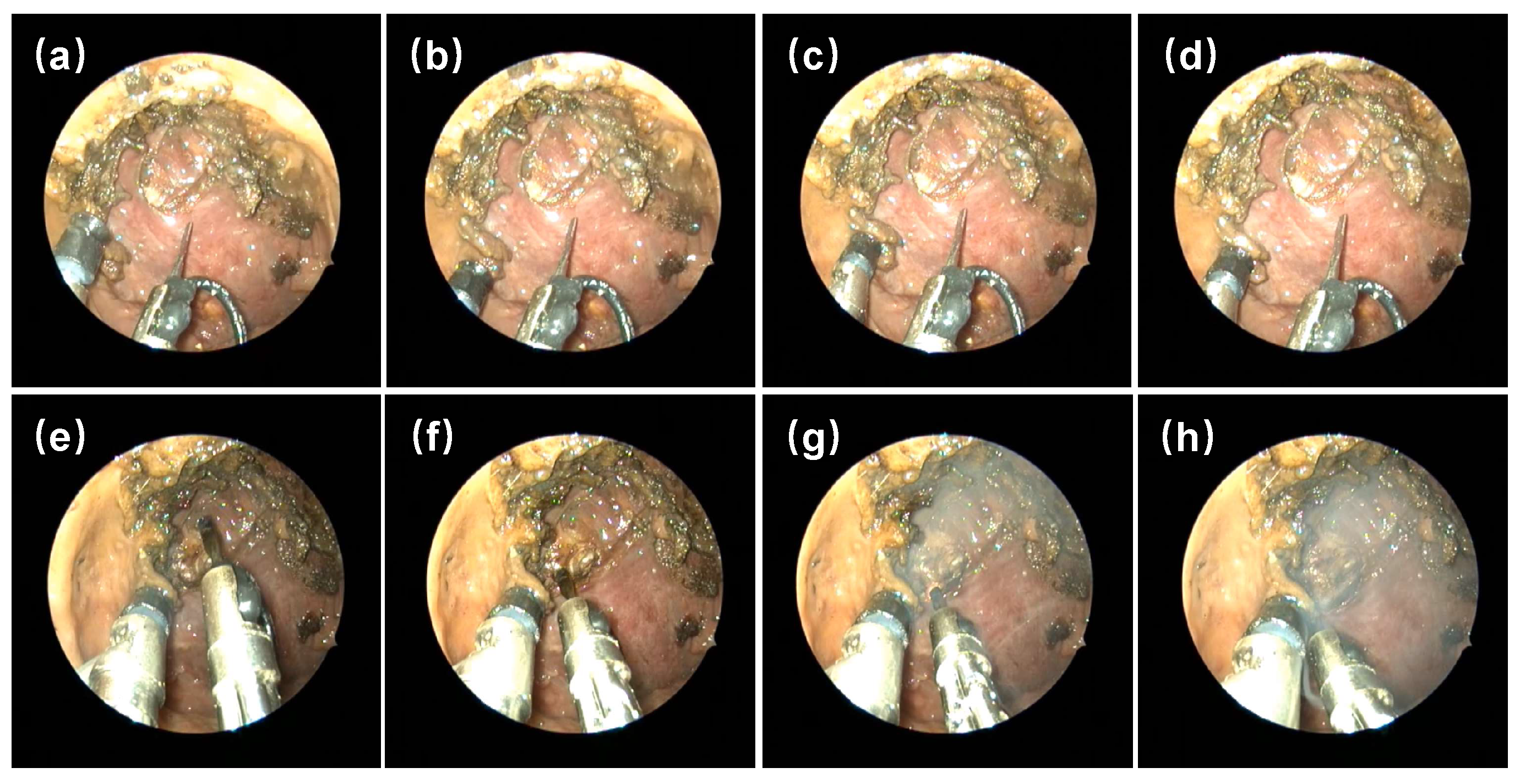 Robotics 11 00135 g004