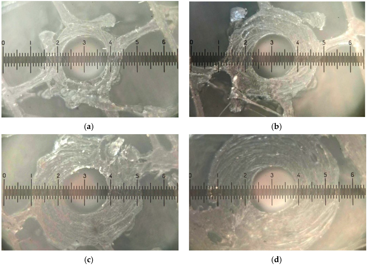 Robotics 11 00140 g011