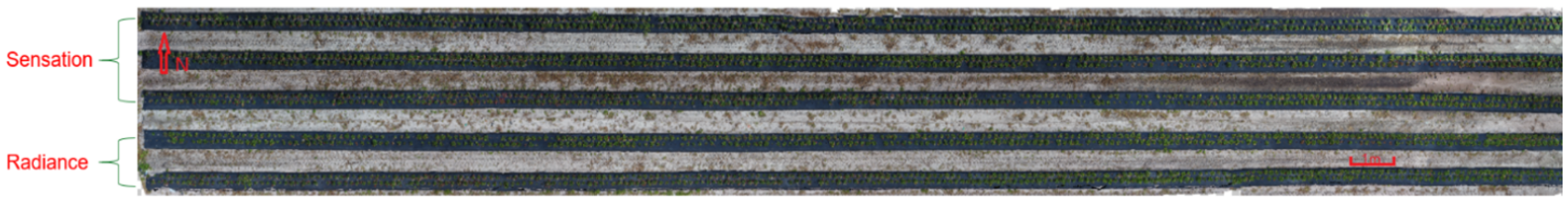 Robotics 11 00144 g003