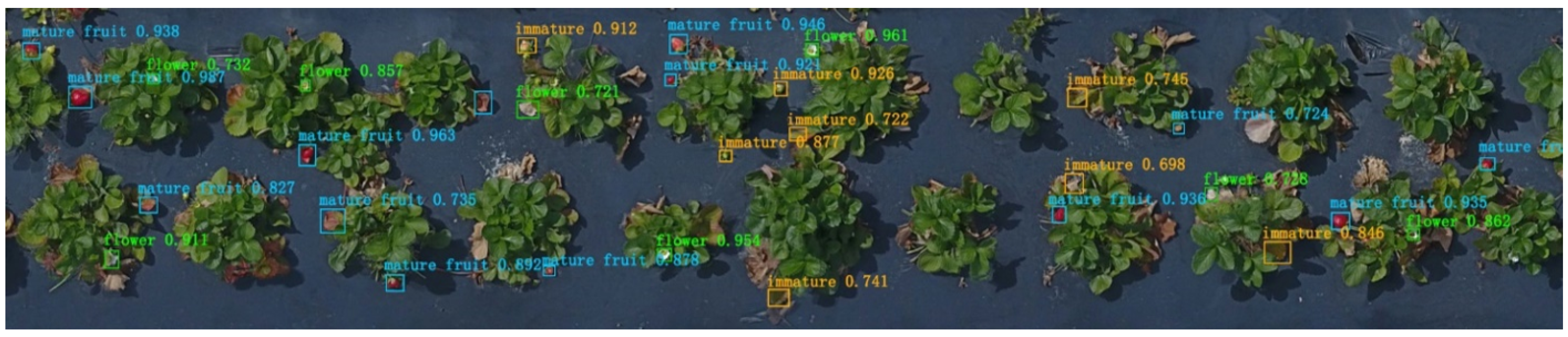 Robotics 11 00144 g004