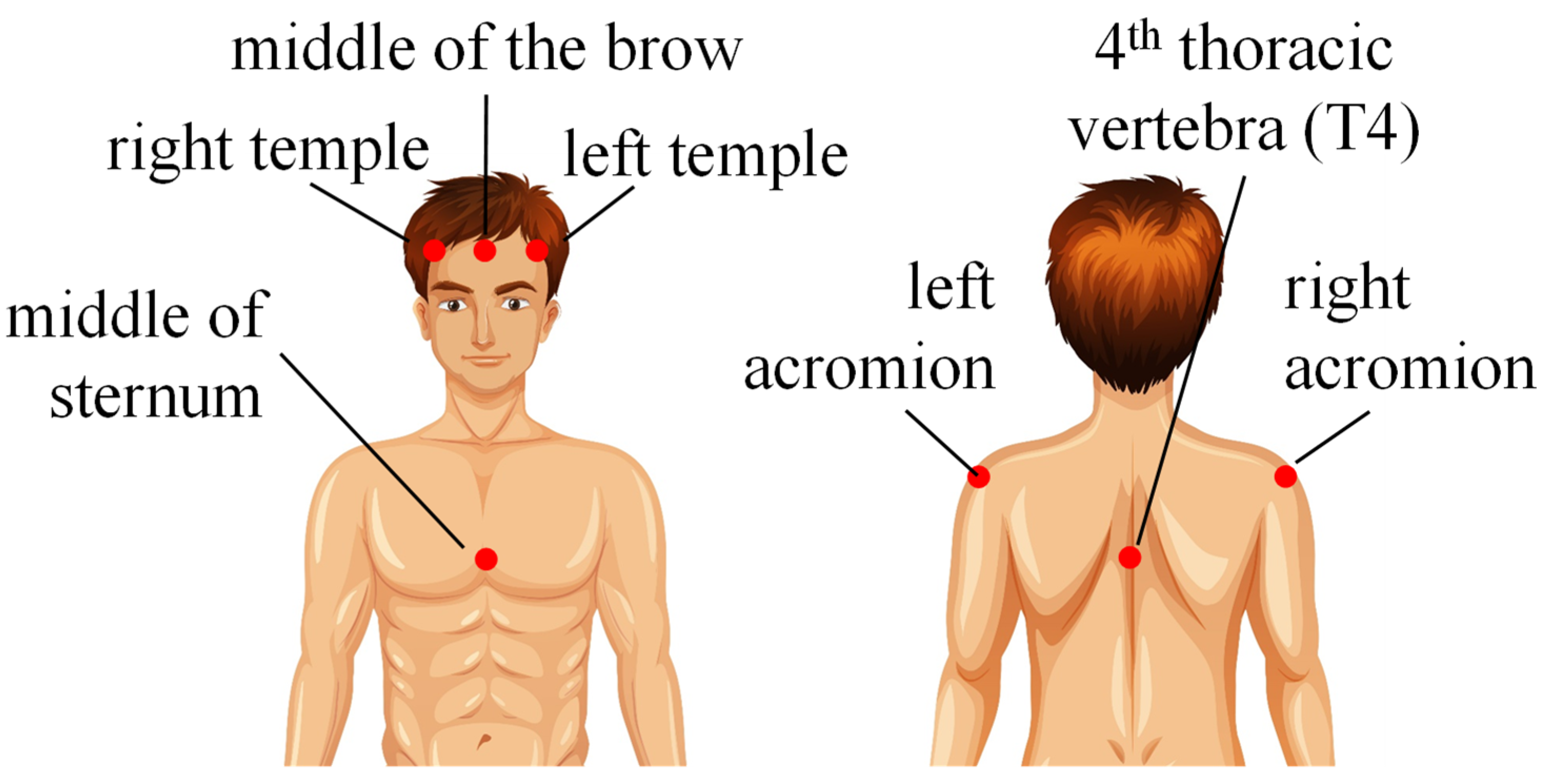 Robotics 12 00018 g002