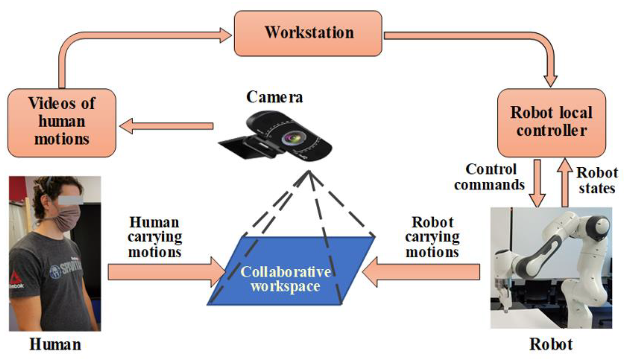 A Trust-Assist Framework for Human–Robot Co-Carry Tasks