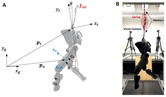Human–Exoskeleton Interaction Force Estimation in Indego
