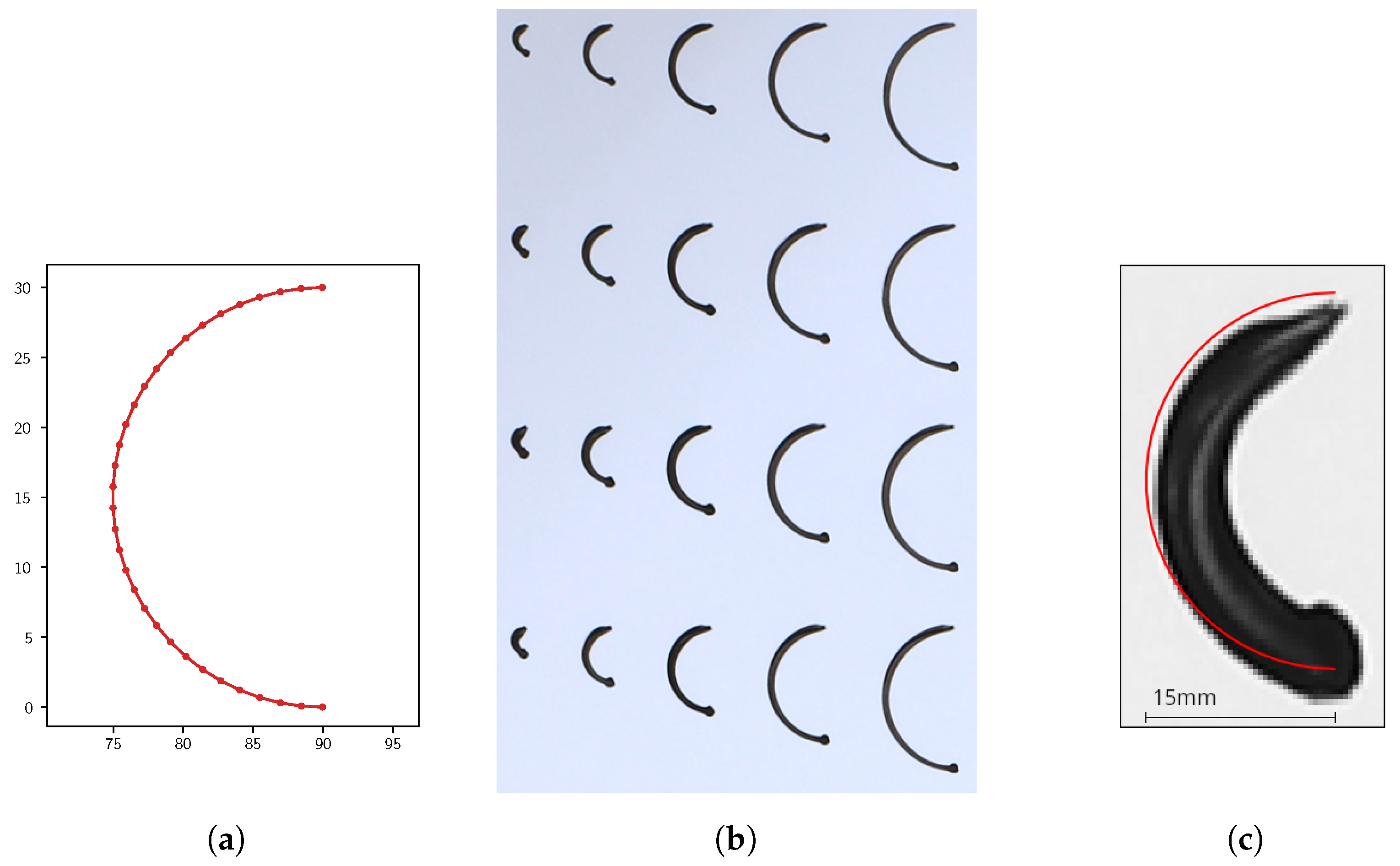 Robotics 12 00072 g006