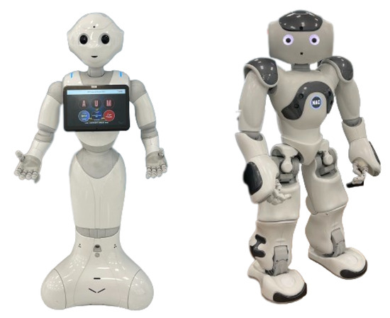 Robotics | Free Full-Text | Telepresence in the Recent Literature with ...