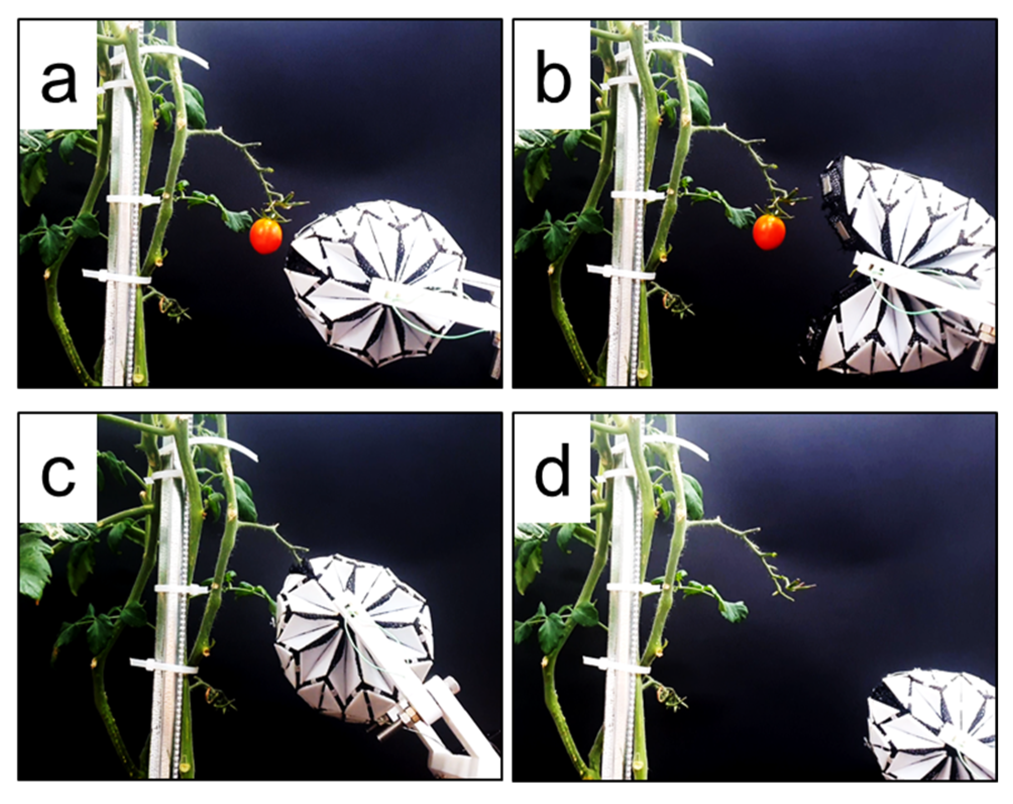 Robotics 12 00150 g007