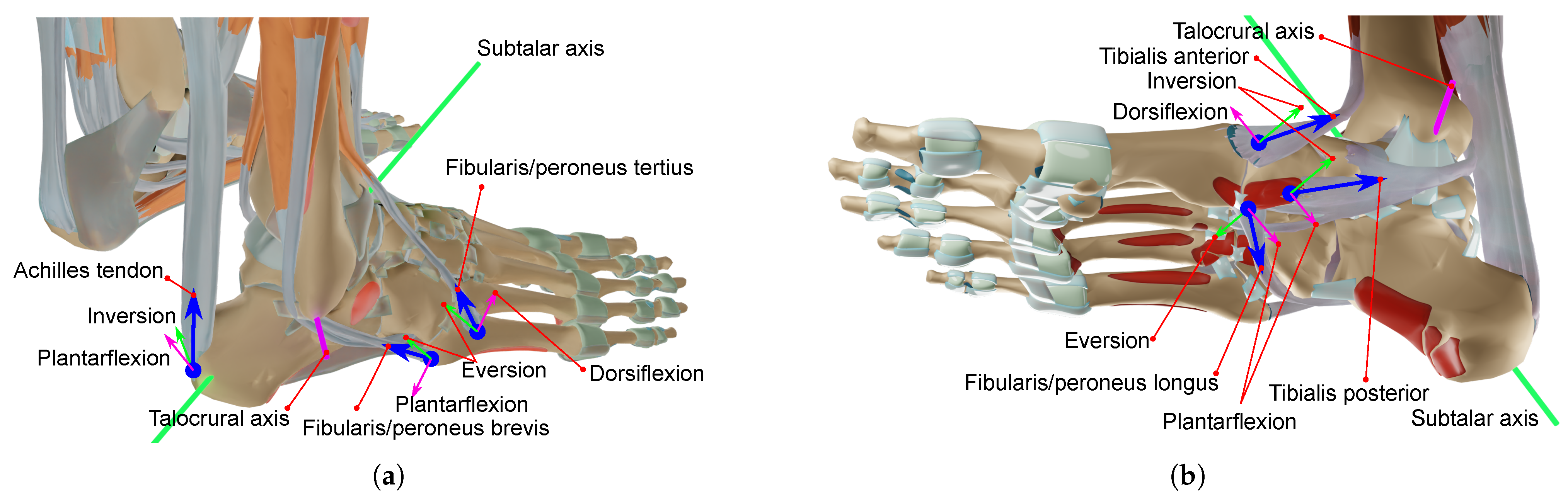 Robotics 12 00154 g001 Robotics 12 00154 g001