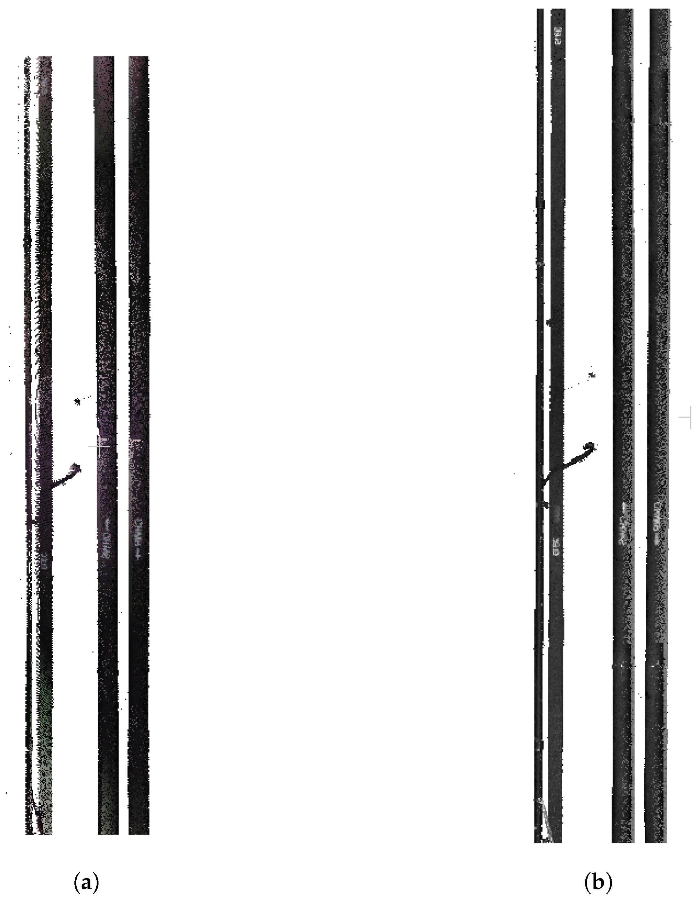 Robotics 13 00022 g012