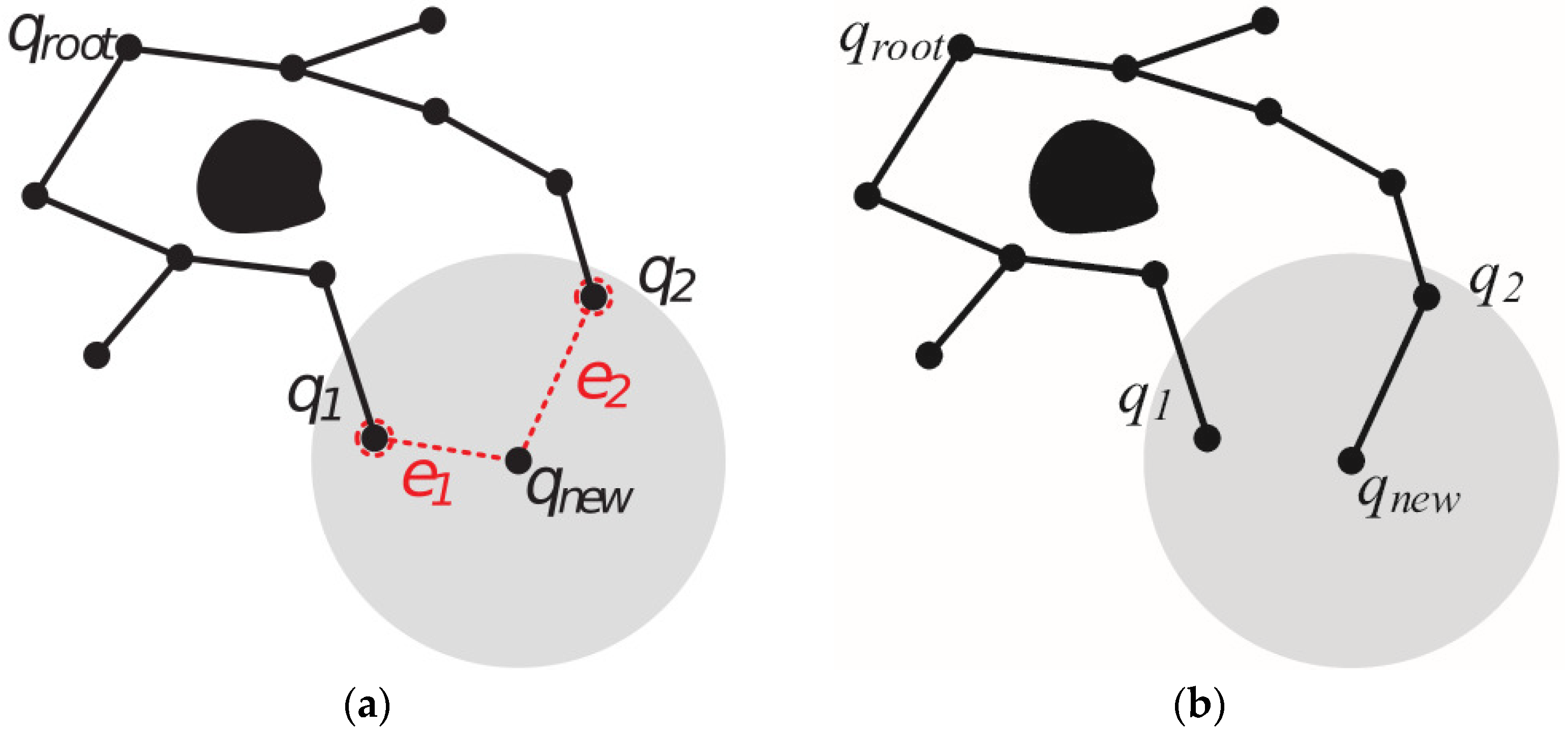 Double-Layer RRT* Objective Bias Anytime Motion Planning Algorithm