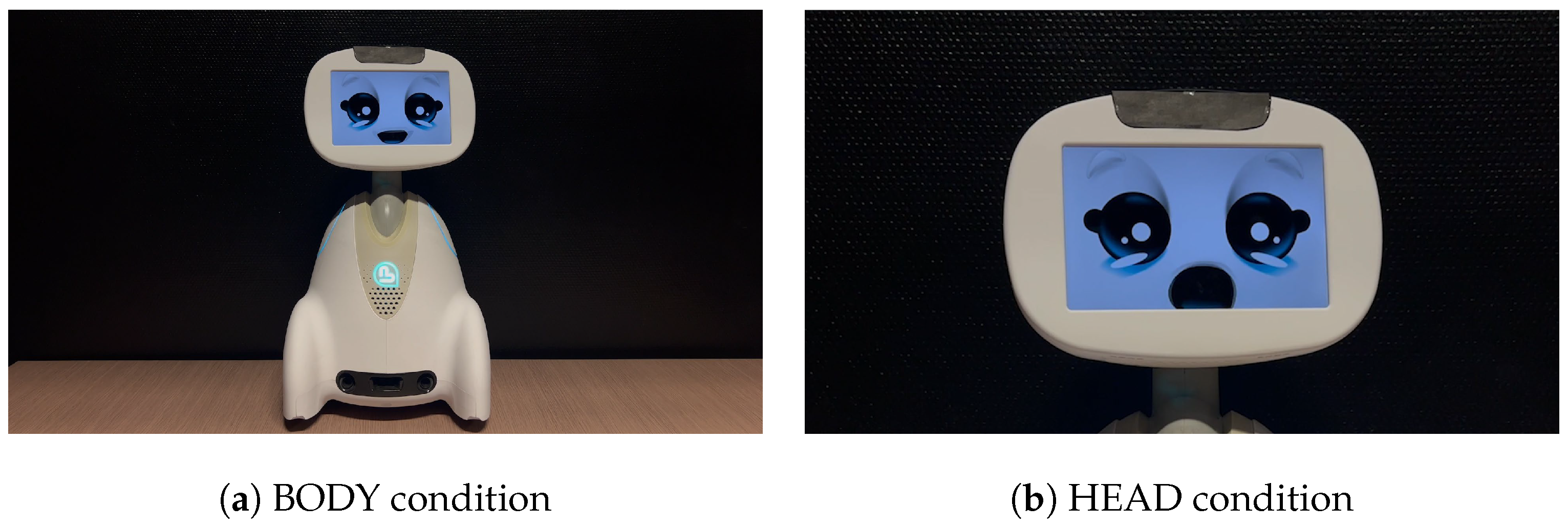 Robotics 13 00067 g001