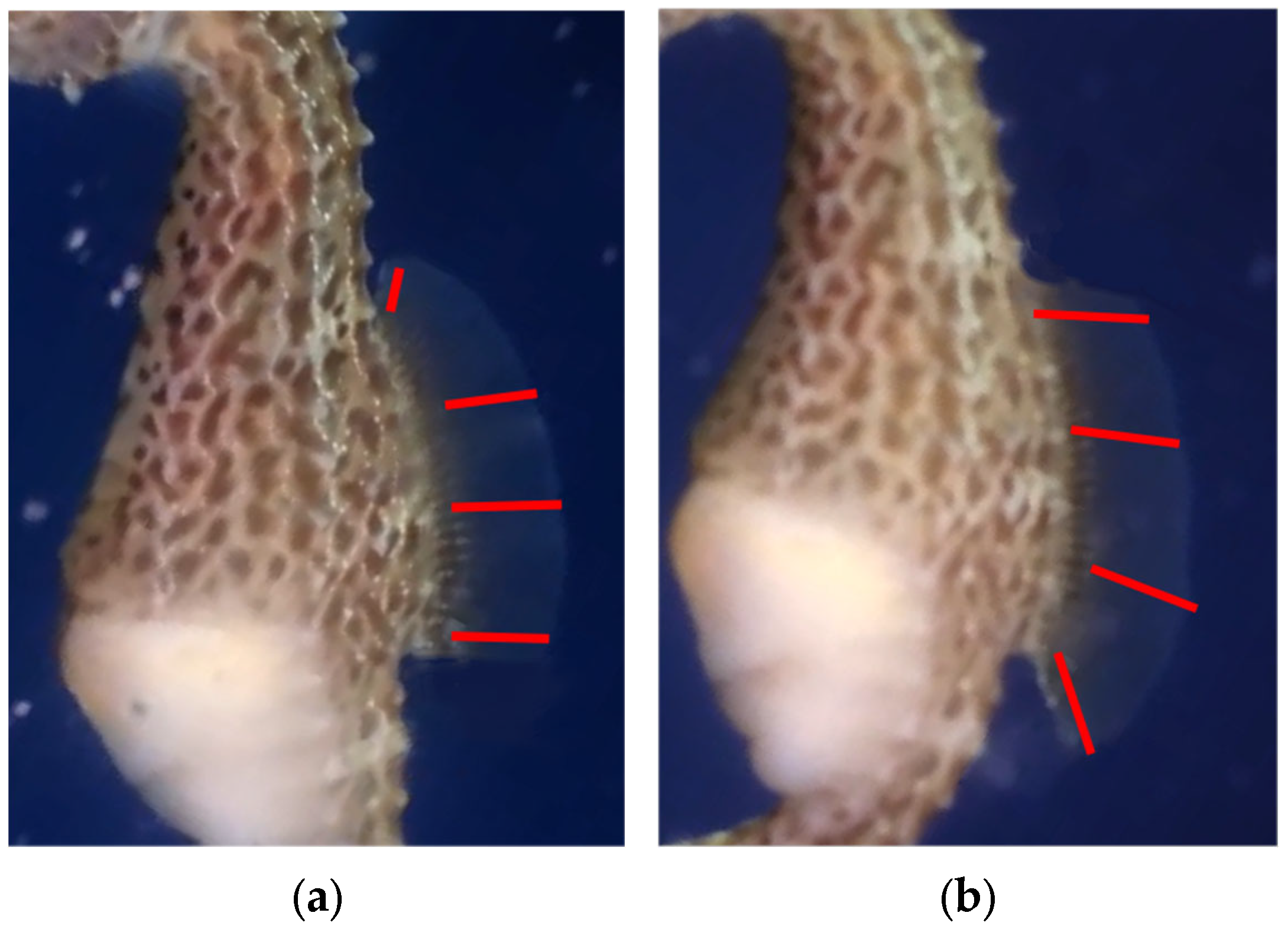 Robotics 13 00154 g001