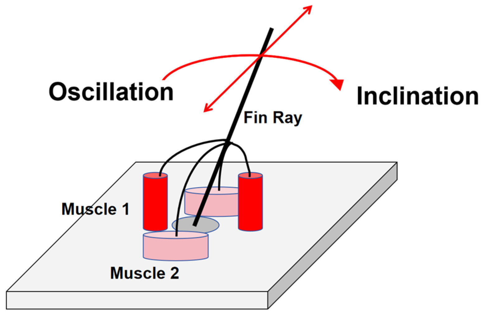 Robotics 13 00154 g002