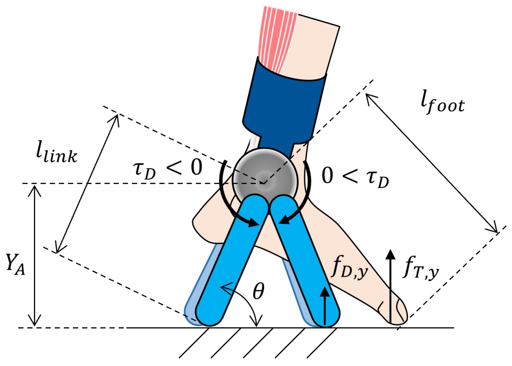 Robotics 14 00020 g008