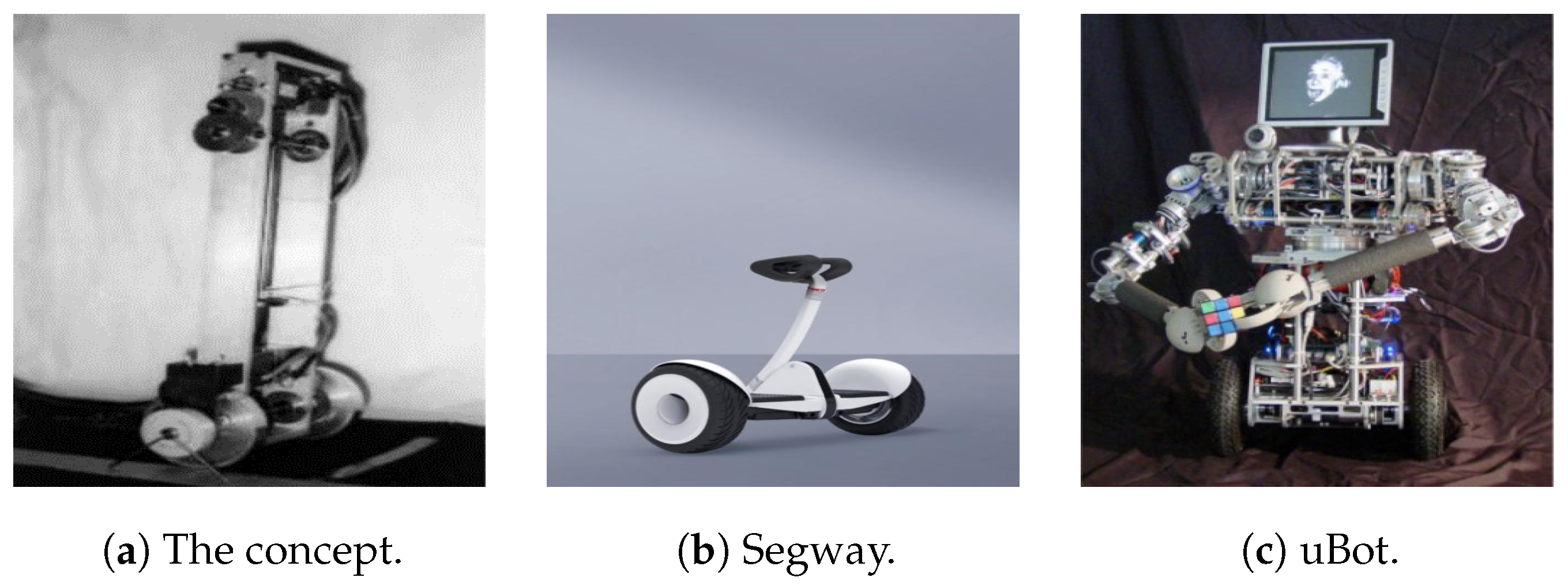 Robotics 14 00101 g001