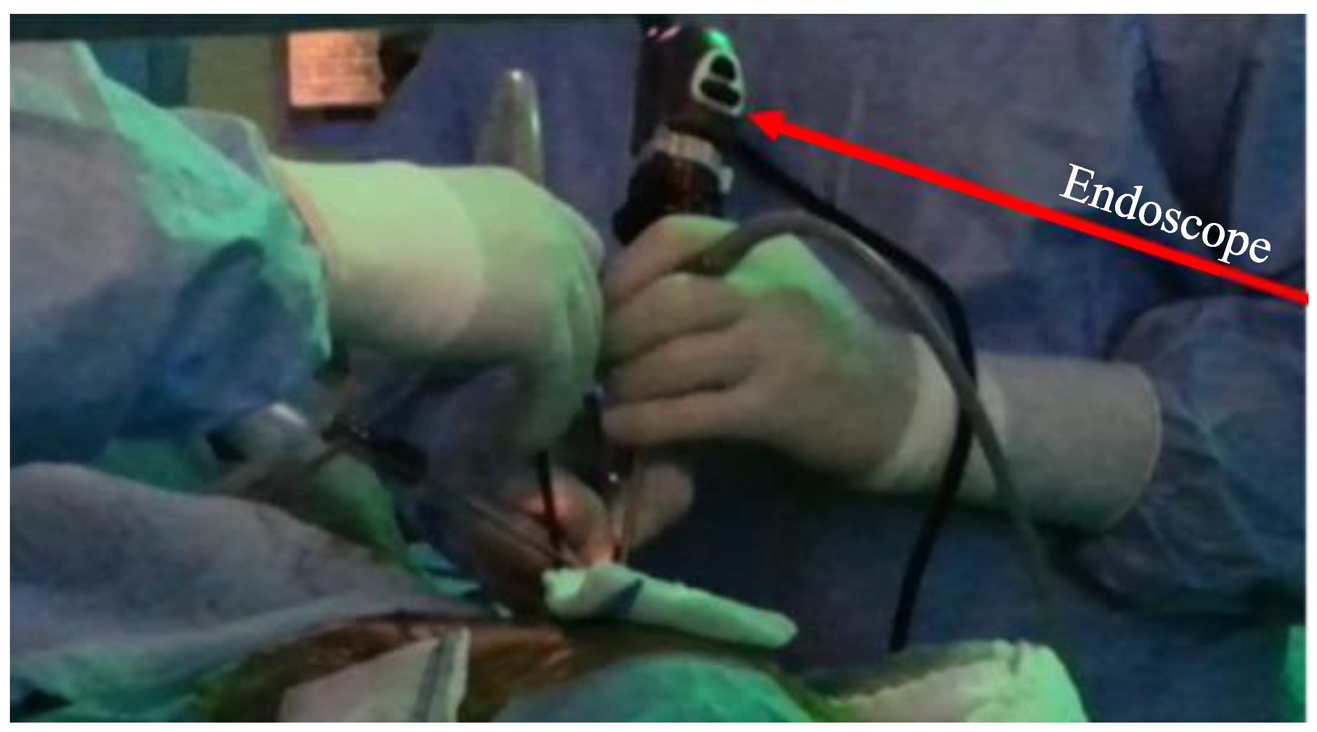 Robotics 14 00144 g003