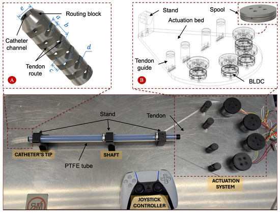 Design and Evaluation of a Dual-Bendable, Compressible Robotic