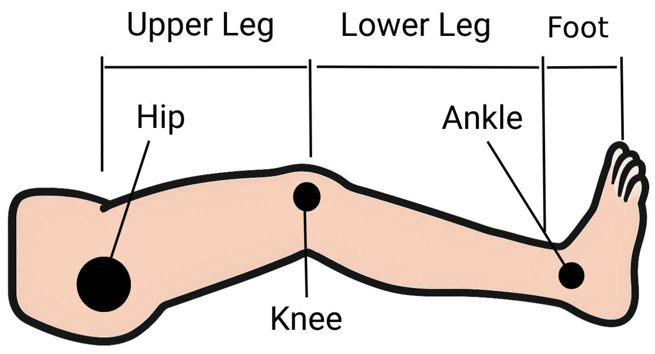 Robotics 14 00169 g003