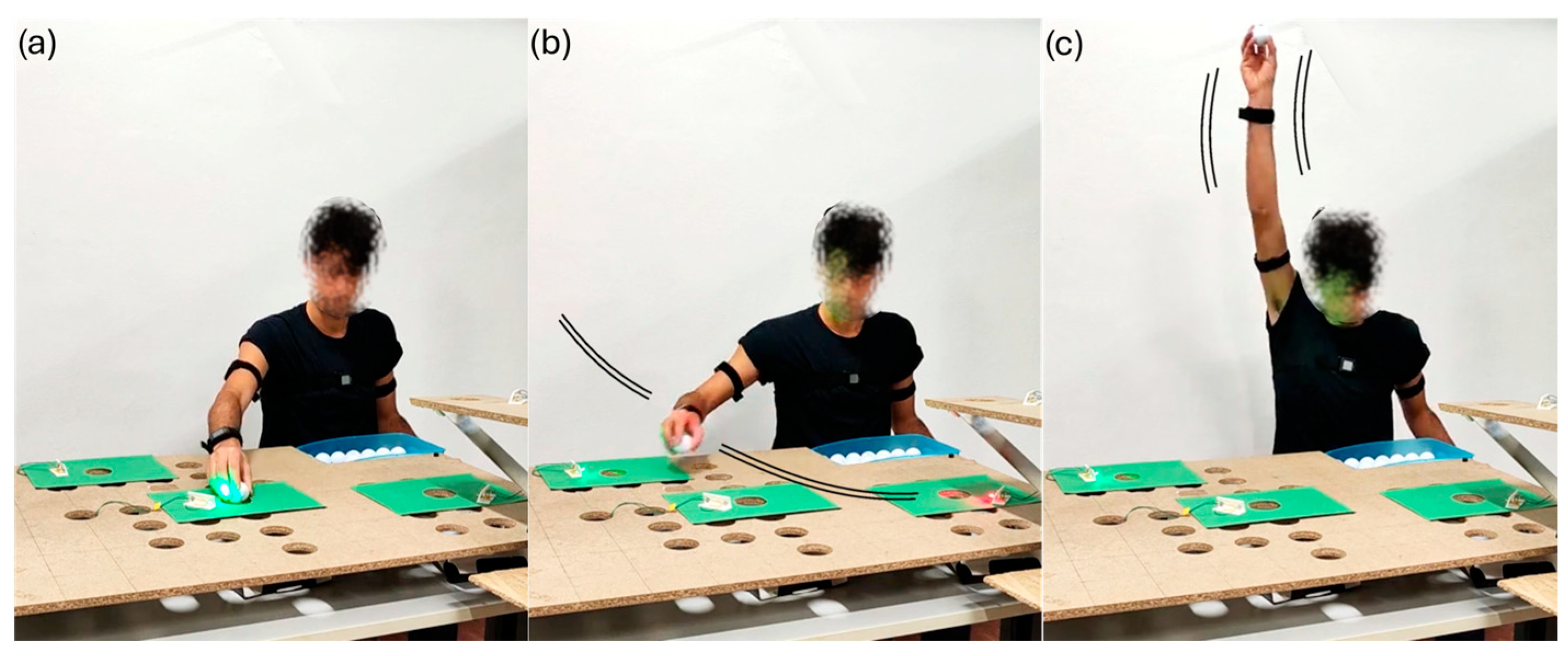 Robotics 14 00176 g002