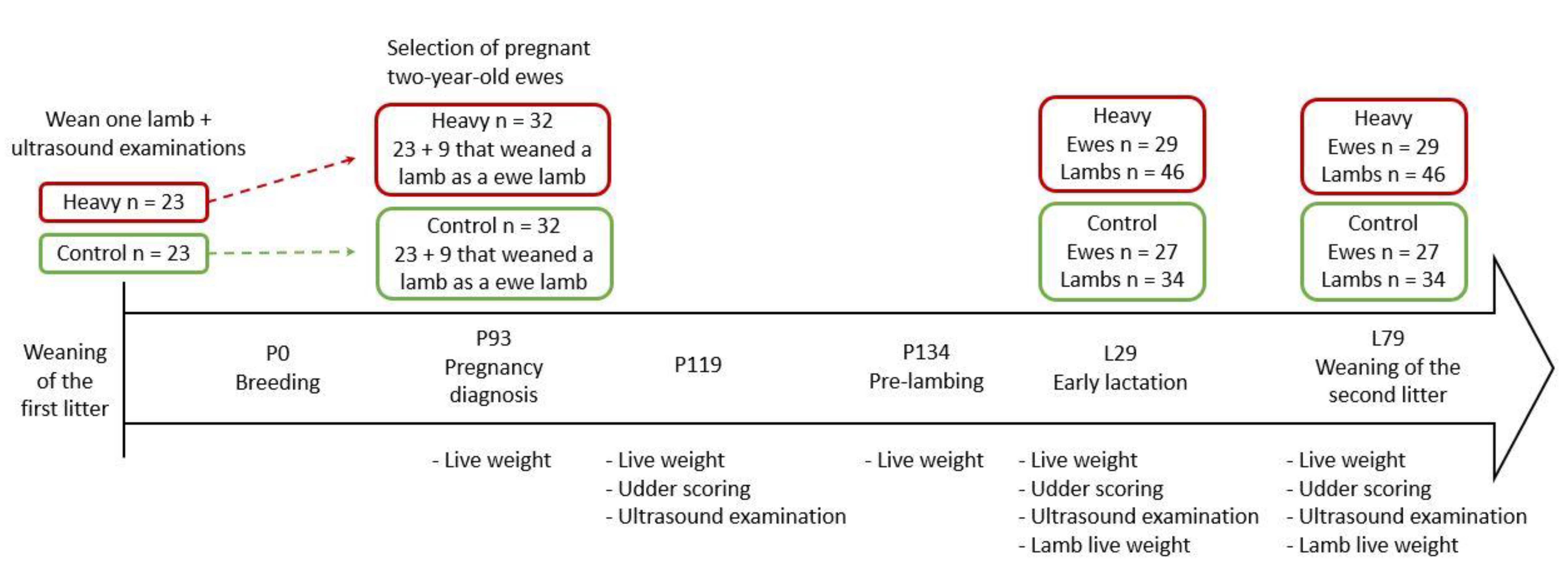 Ruminants 01 00006 g001 Ruminants 01 00006 g001