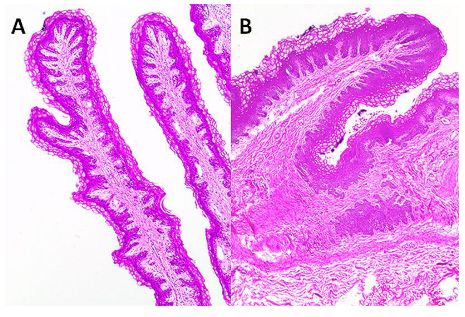 Ruminants 01 00009 g001 550