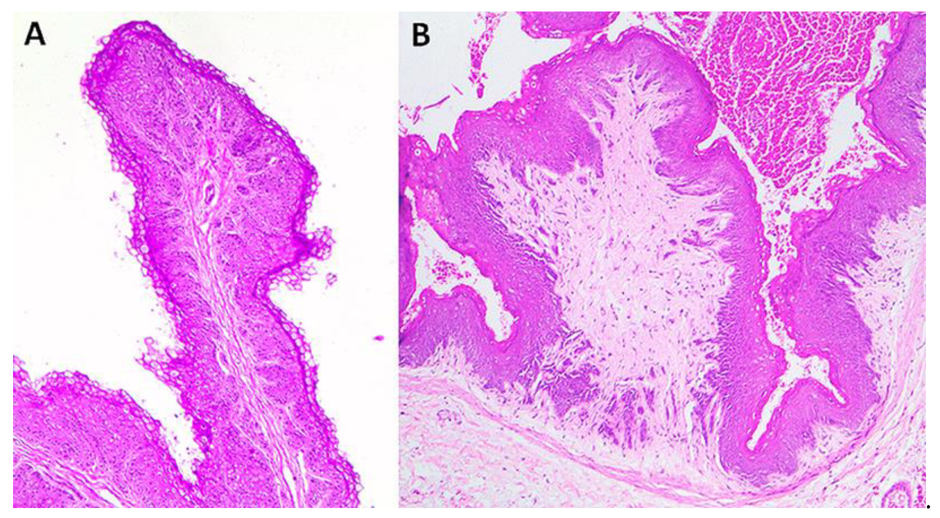 Ruminants 01 00009 g002 550