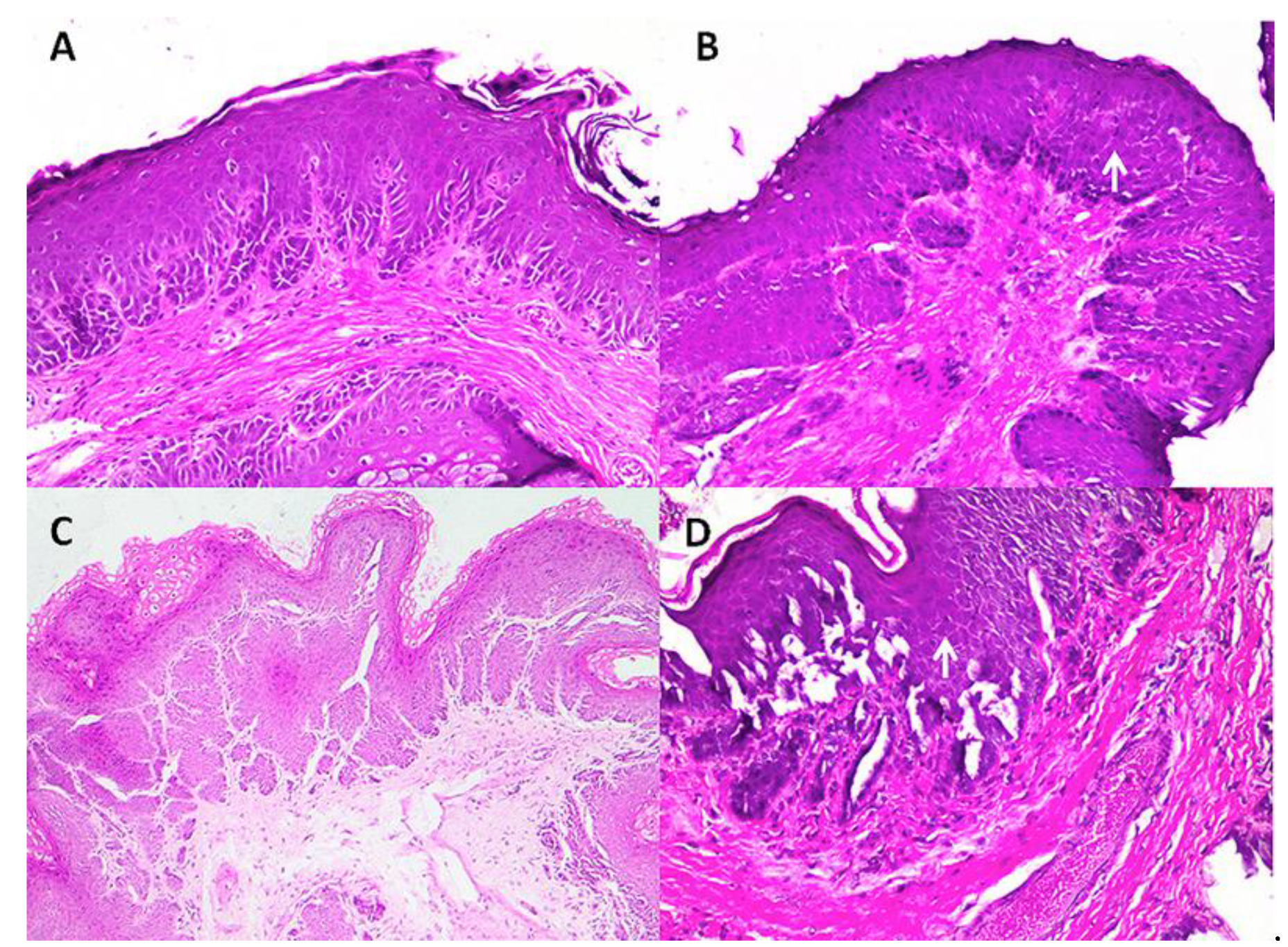 Ruminants 01 00009 g003 550