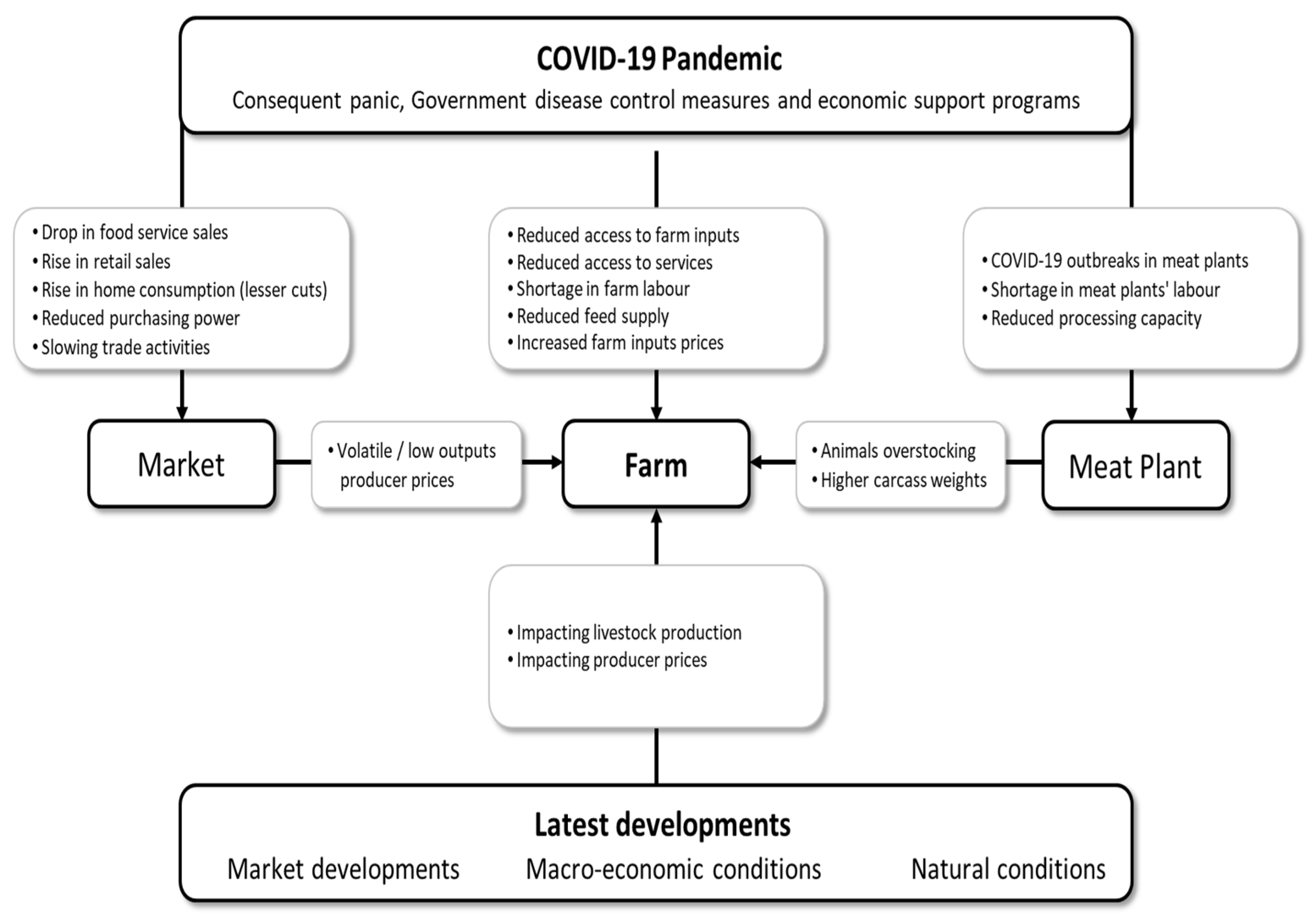 Ruminants 02 00002 g001 550