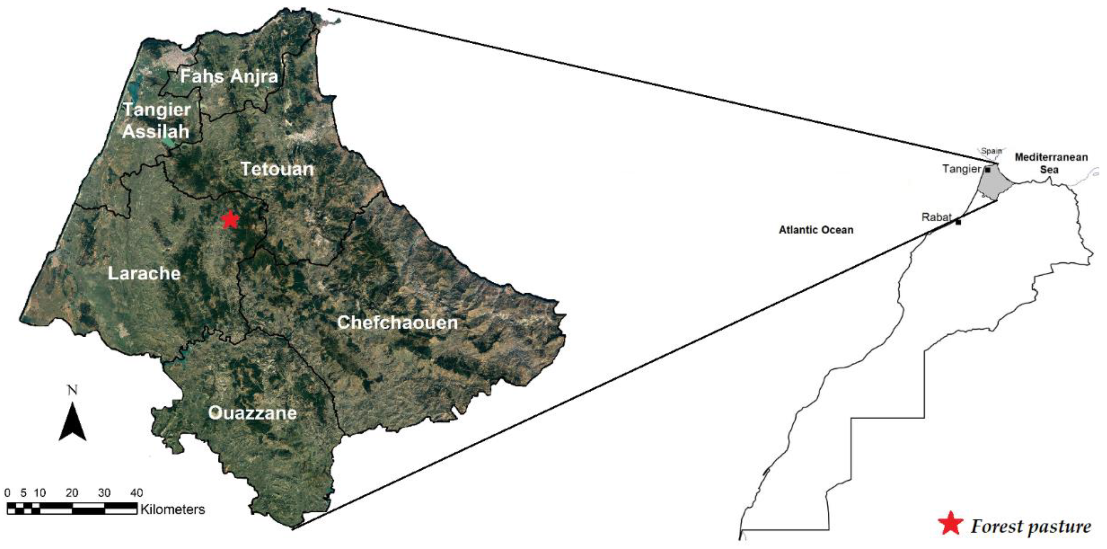 Ruminants 02 00004 g001