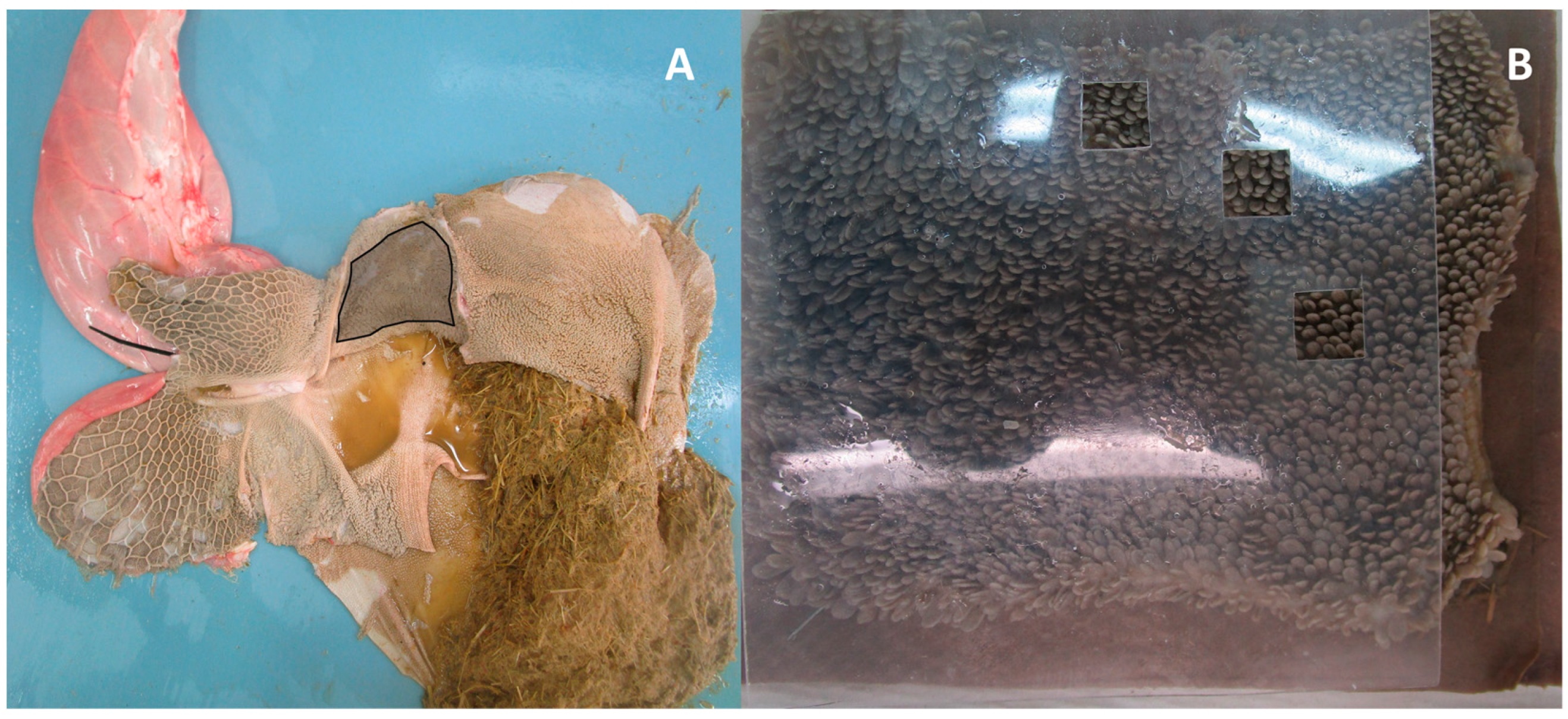 Ruminants 03 00004 g001