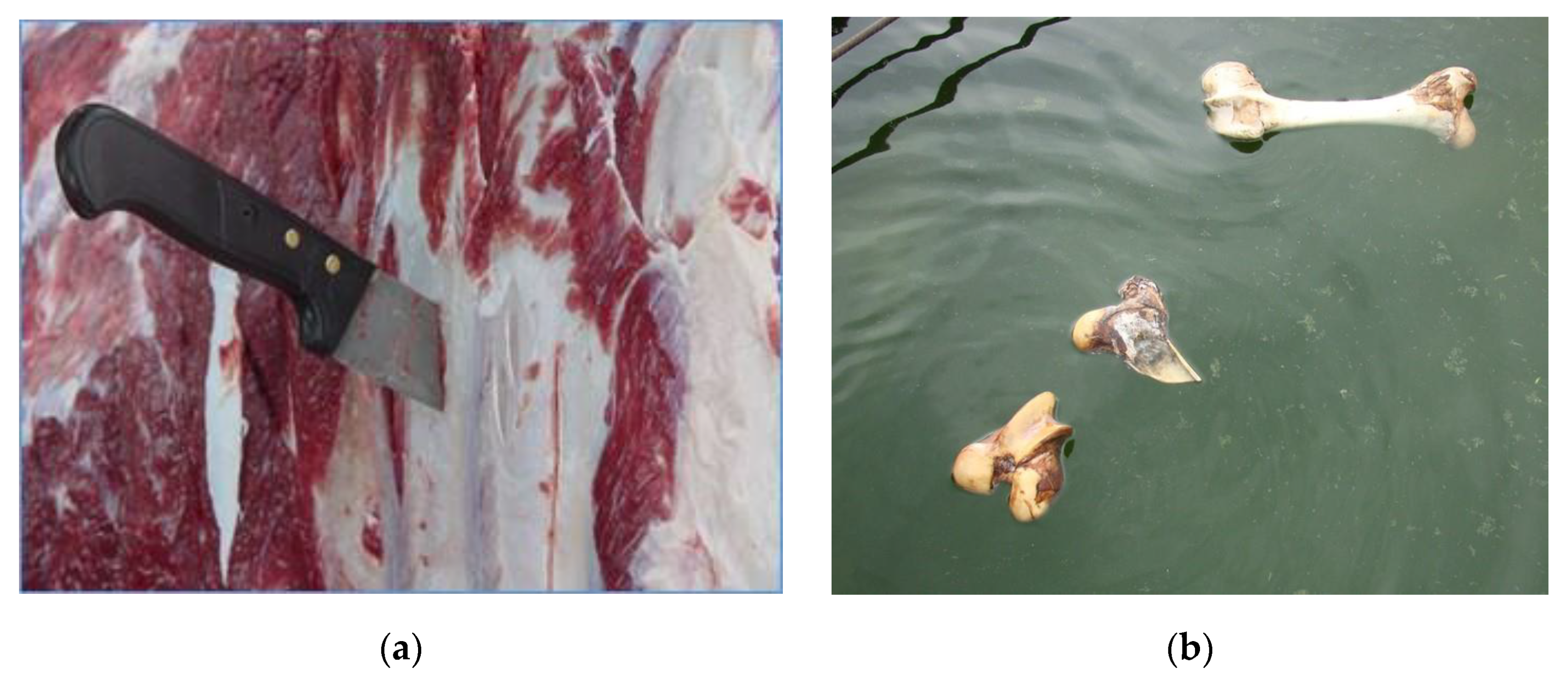 Ruminants 03 00006 g007