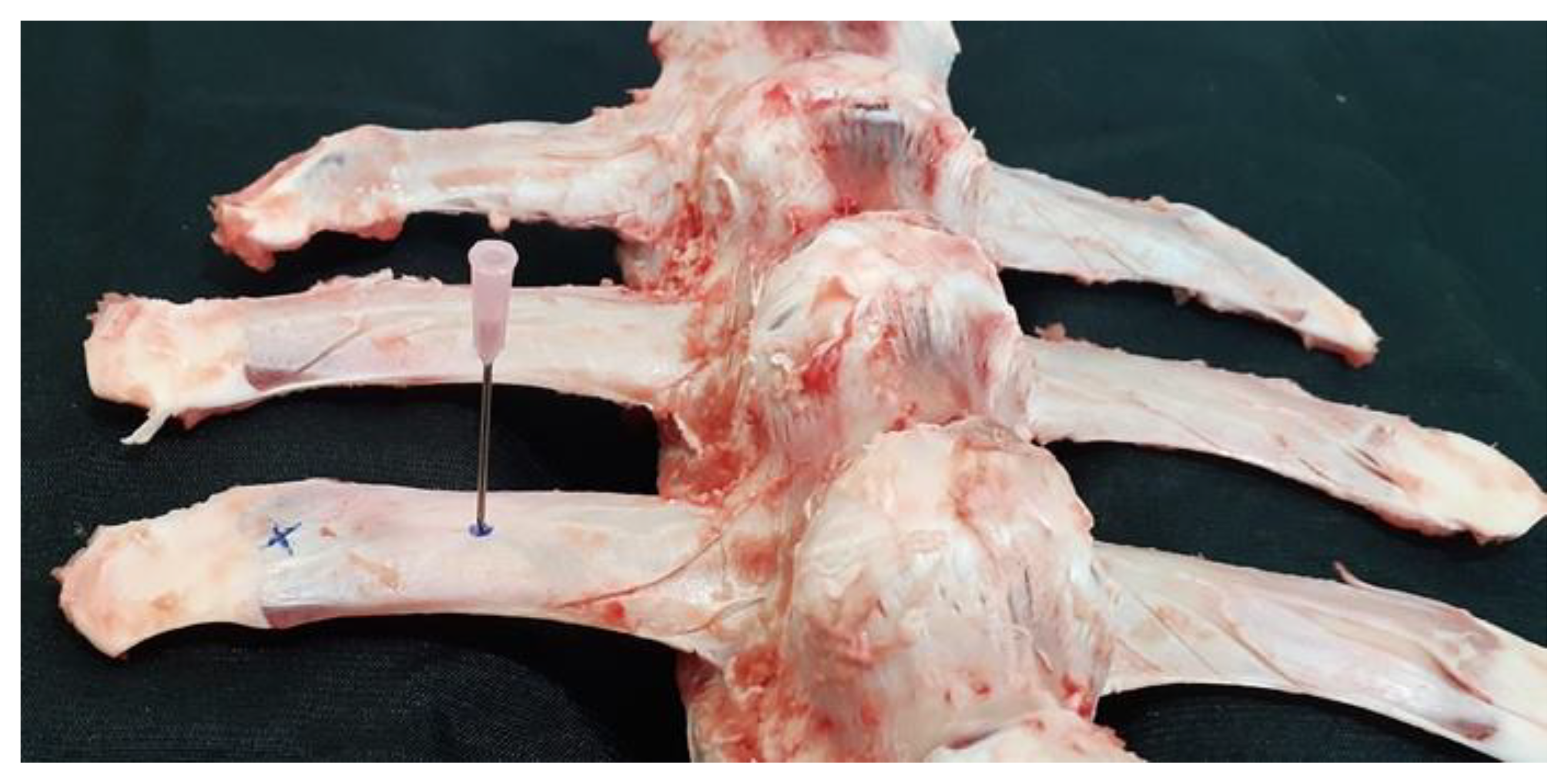 Ruminants 03 00006 g011