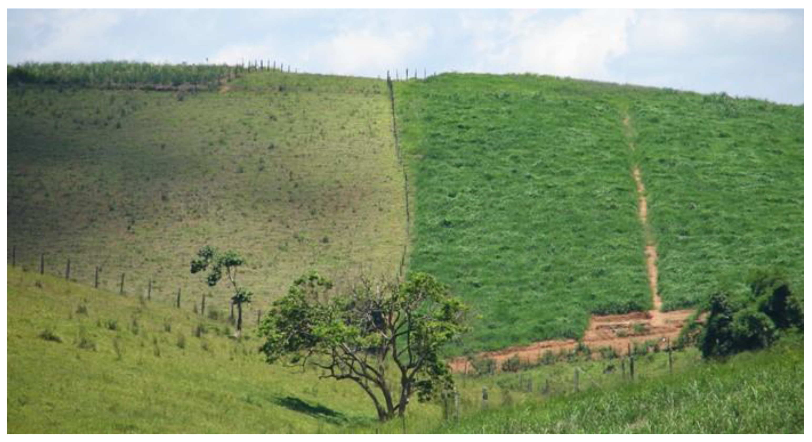 Ruminants 03 00006 g015