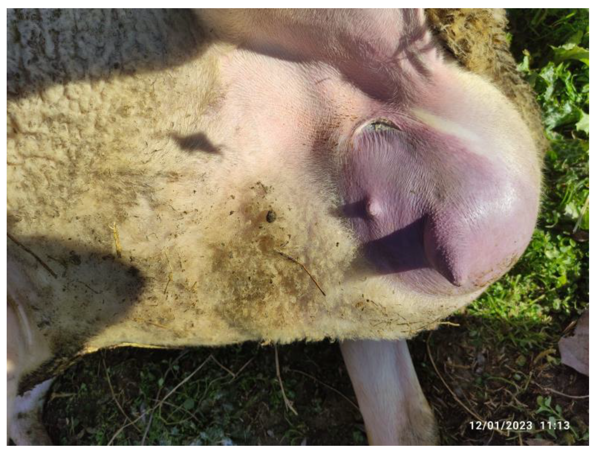 Ruminants 03 00012 g001